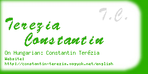 terezia constantin business card