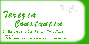 terezia constantin business card